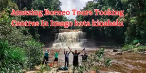 amazing borneo tours booking centres in imago kota kinabalu (1)