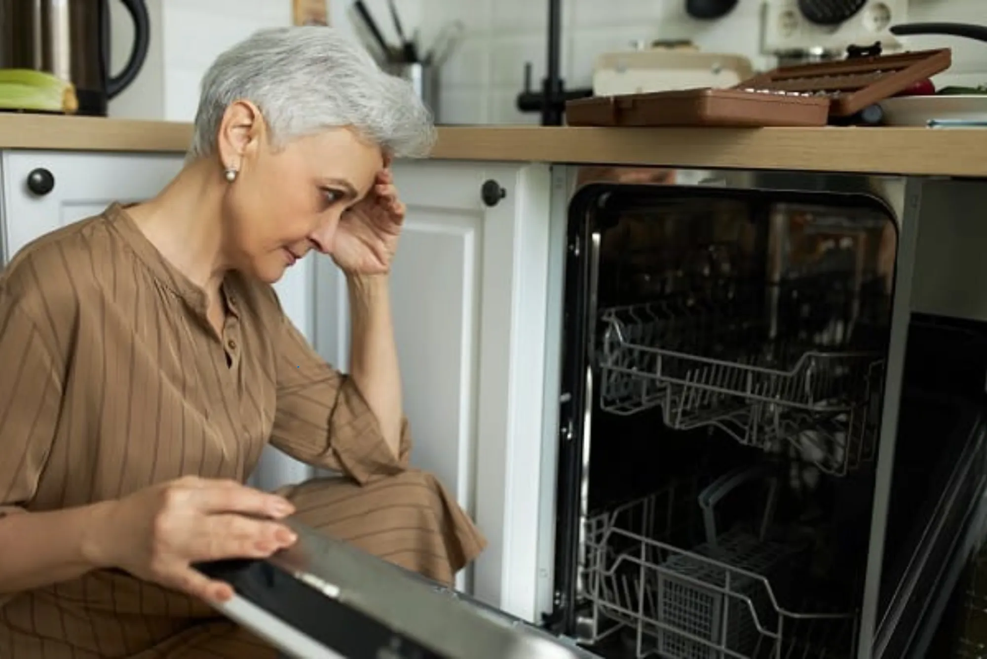 Common Causes of Dishwasher Door Leaks