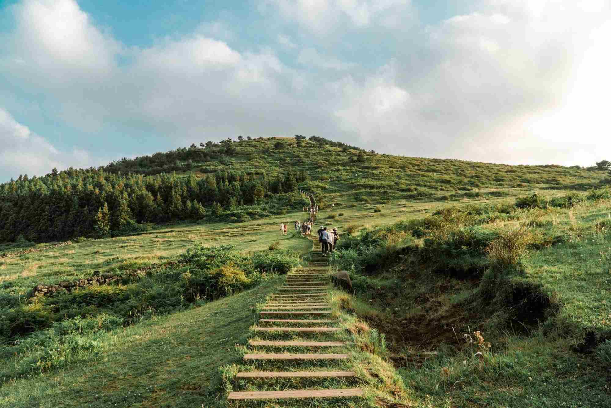 Trail Guide — Hiking Near Jeju City Routes, Distance & Tips